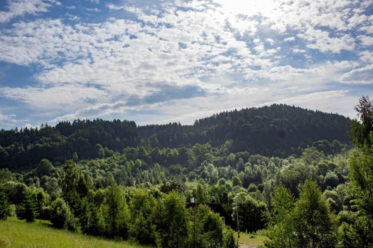 Holiday Villa Stupna Vidochov ภายนอก รูปภาพ